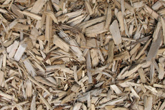 biomass boilers Llanbister